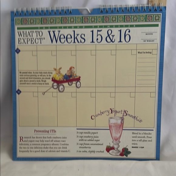 What to Expect Pregnancy Planner Calendar - Picture 6 of 8